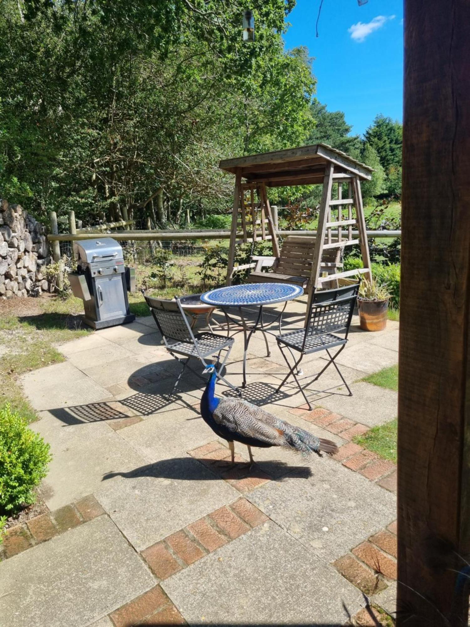 Sika Hut Villa Wareham Exterior foto