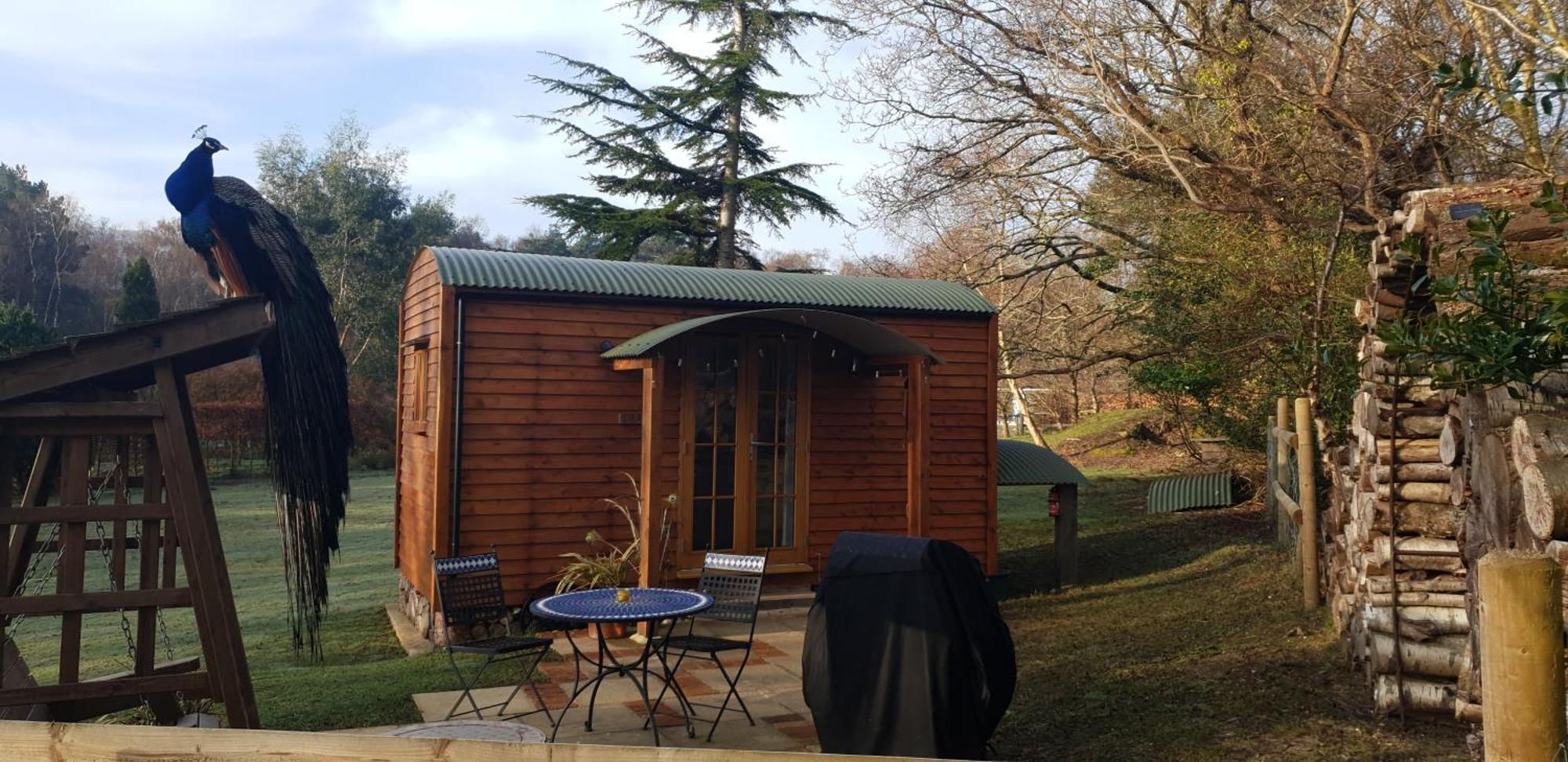Sika Hut Villa Wareham Exterior foto